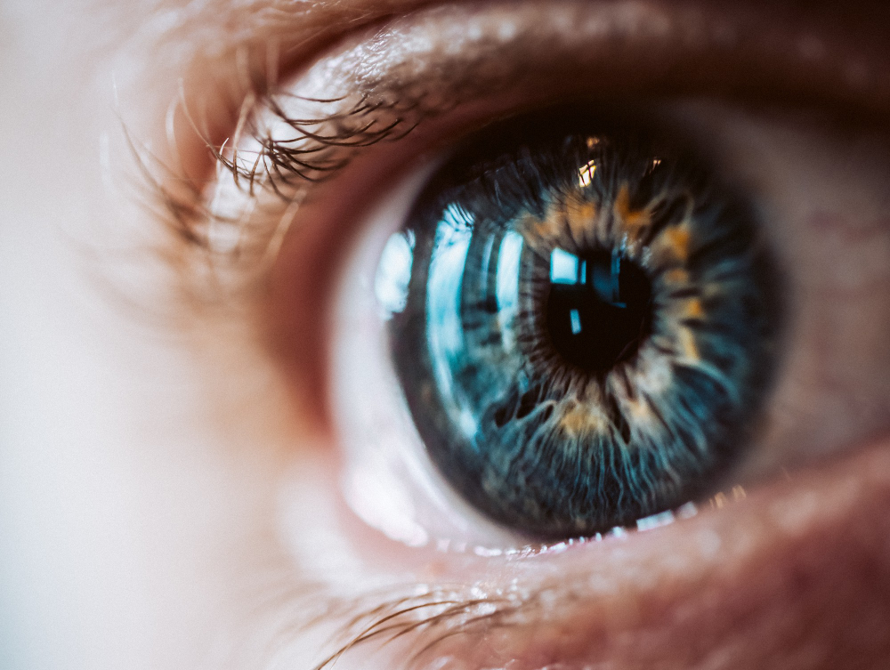 AI Strategy & Vision