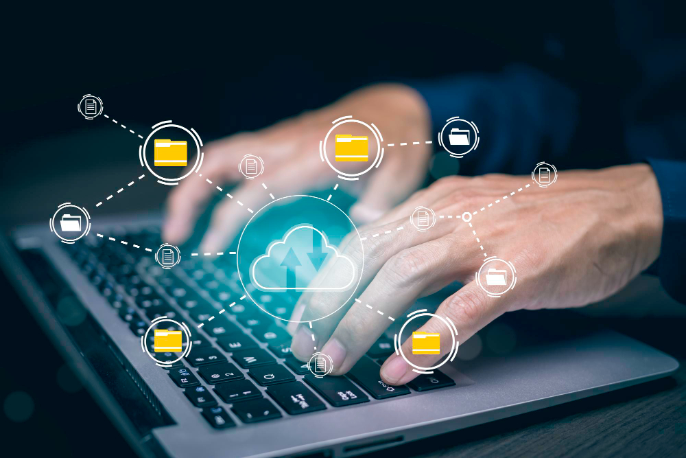 Global IP Management