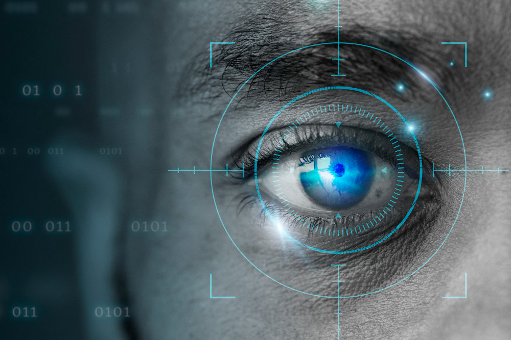 Object Detection